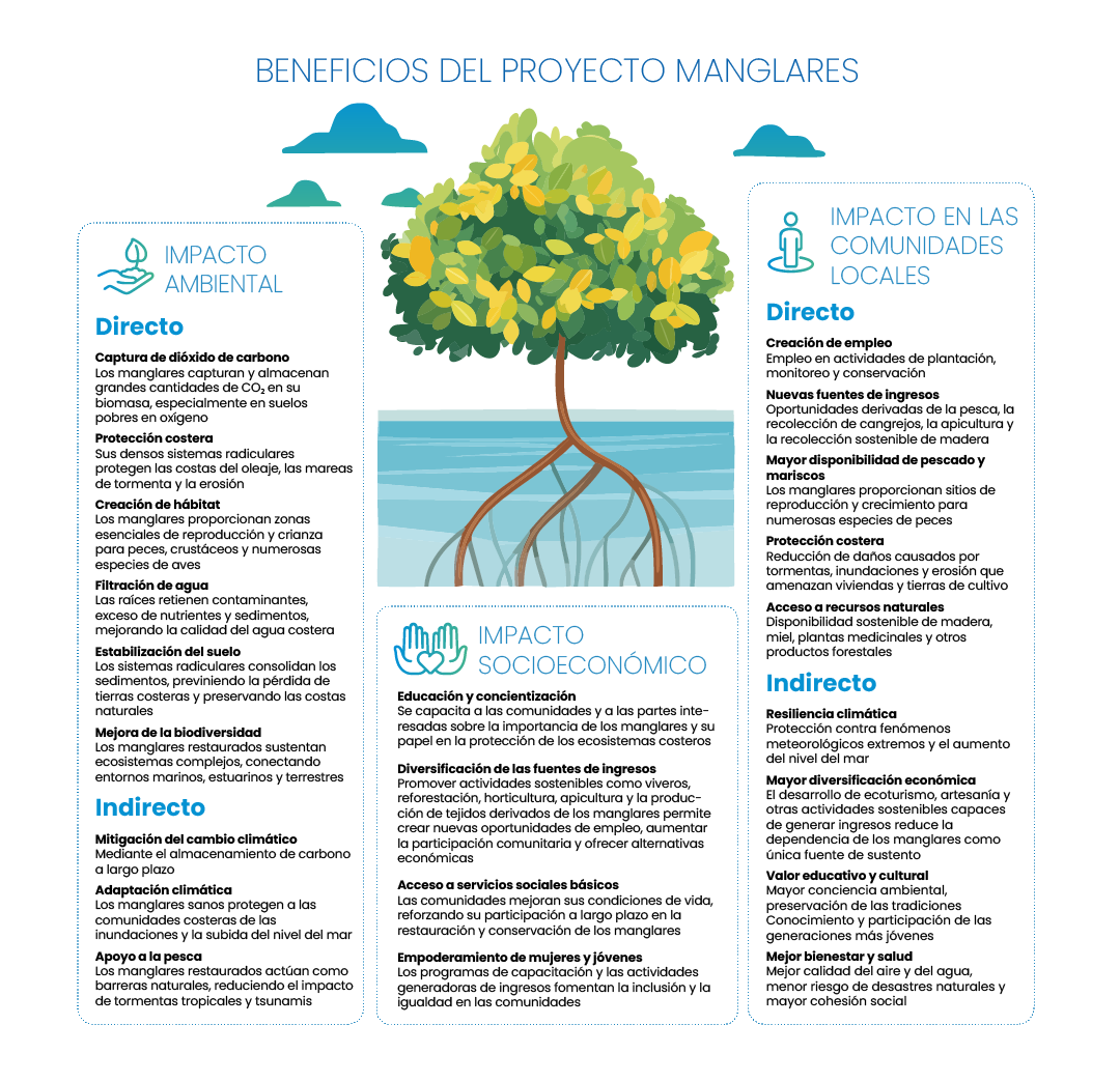 Infografica