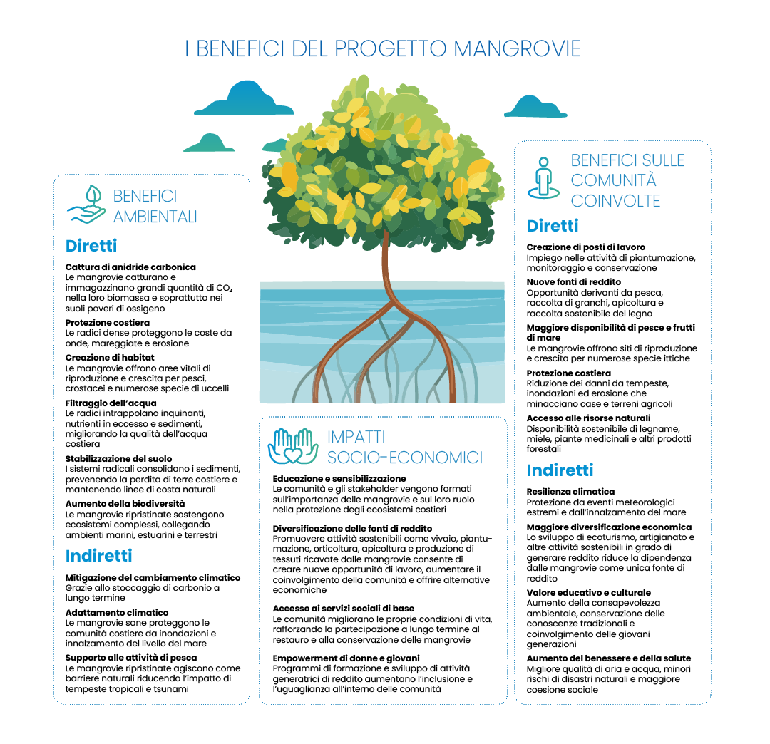 Infografica