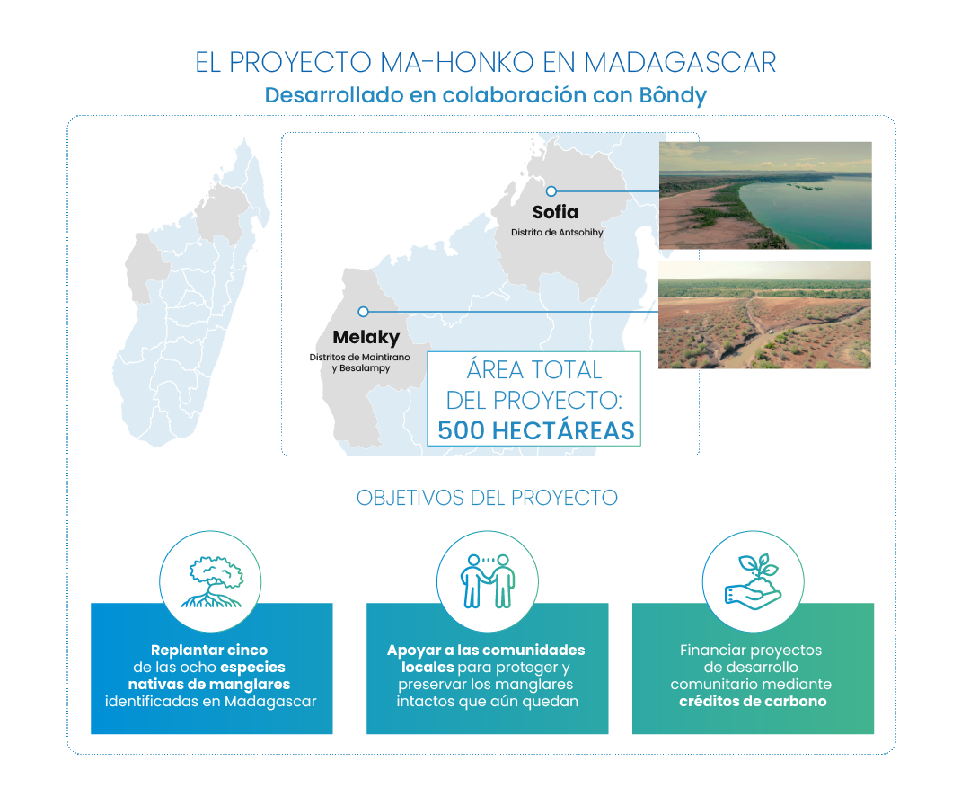 Infografica