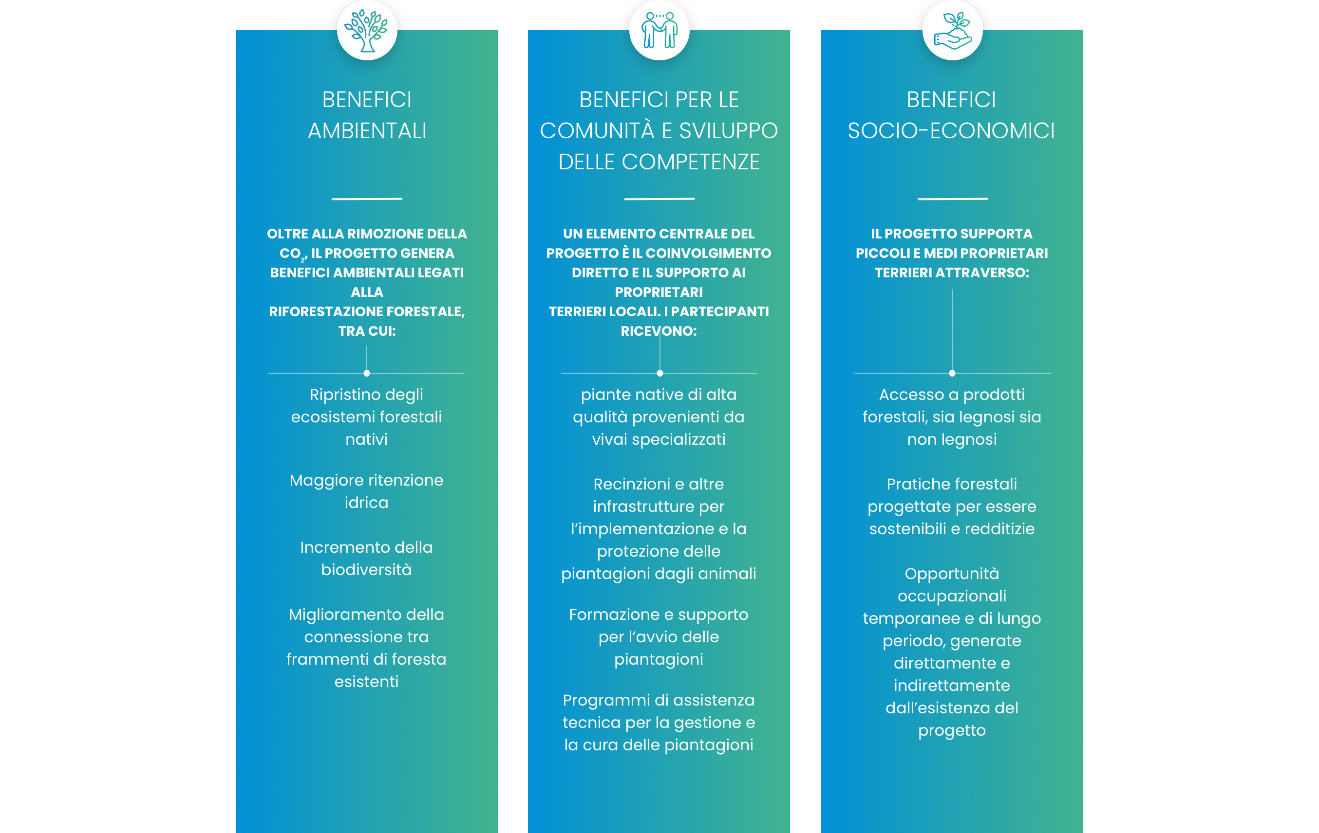 new infografica Cile ITA@2x