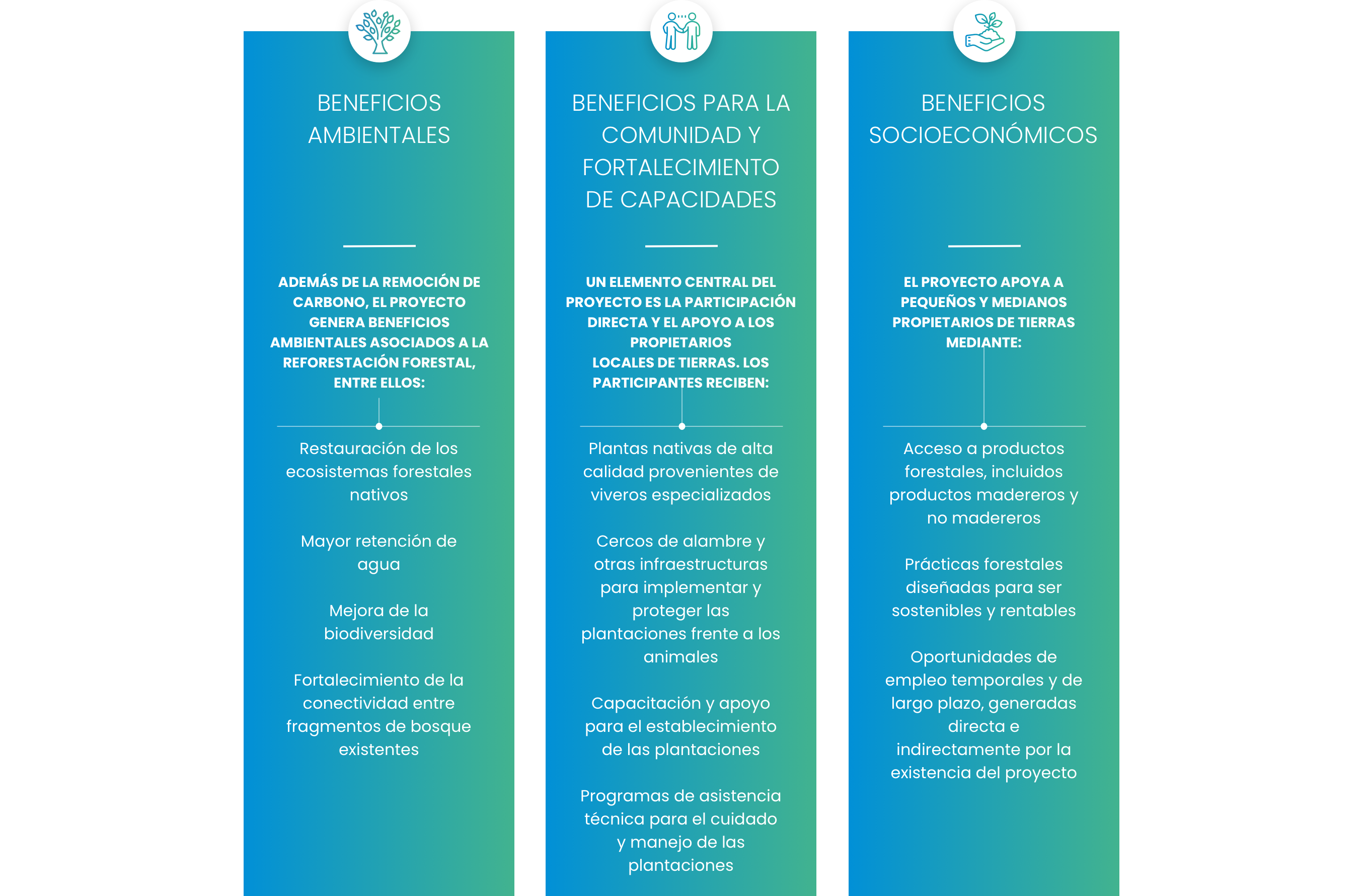 new infografica Cile SPA@2x